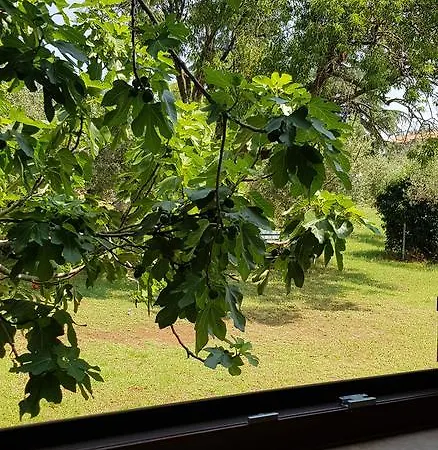 Nacinovic Lejlighed *