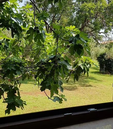 Nacinovic Apartman *