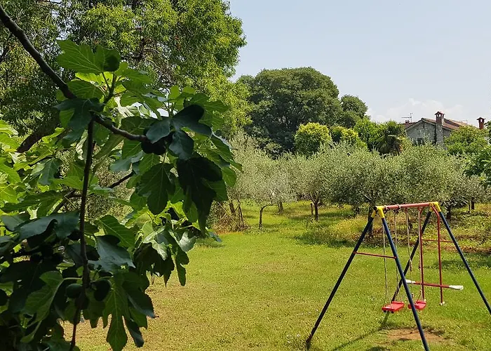 Nacinovic